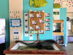 Discovery Center Adopt a Fish Display