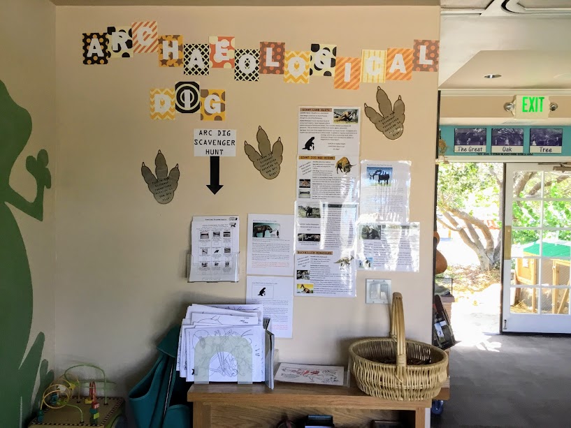 Archaeological Dig Display Agua Hedionda Lagoon Discovery Center