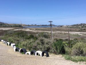 Beginning of the Discovery Center Trail