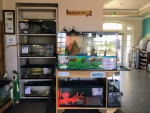 More reptile display tanks