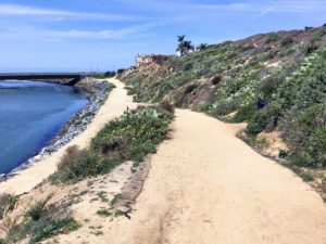 Beginning Hubbs Trail down Lagoon