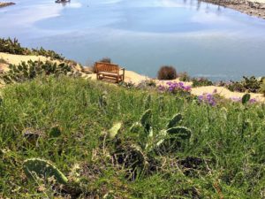 Overlooking bench seating area Agua Hedionda Lagoon