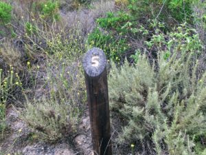 Coyote Brush Panhe Nature Trail