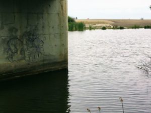 San Mateo Lagoon Beach Trail Trestles