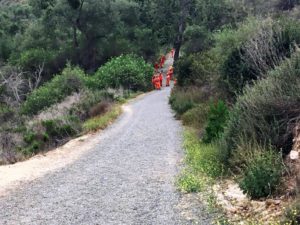 Trail going down workers cleaning