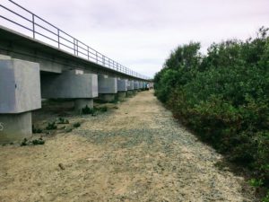 Trestles Beach Trail Near San Mateo Lagoon