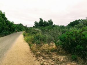 Trestles East two people walking path