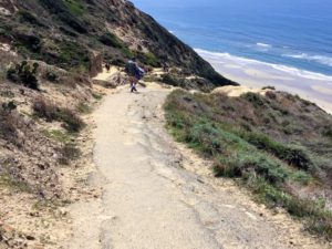 Beginning of Trail Black's Beach La Jolla