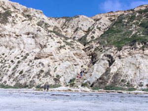 Black's Beach Trail View of Cliffs La Jolla