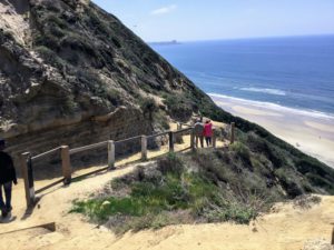 Black's Beach Trail Halfway Down