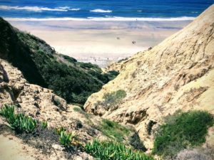 Gliderport Trail Ravine Black's Beach