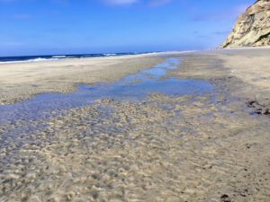 South Blacks Beach Sandy Shore sand view