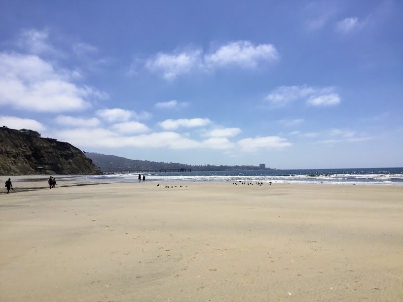 South View Black's Beach sandy shore