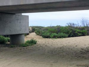 Trestles Beach Sand Dunes