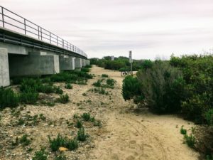 Trestles Dunes next to Train Trestle