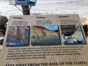 Coastal Bluff Information Torrey Pines State Beach