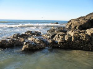 Dike Rock 1 La Jolla San Diego Tide Pools