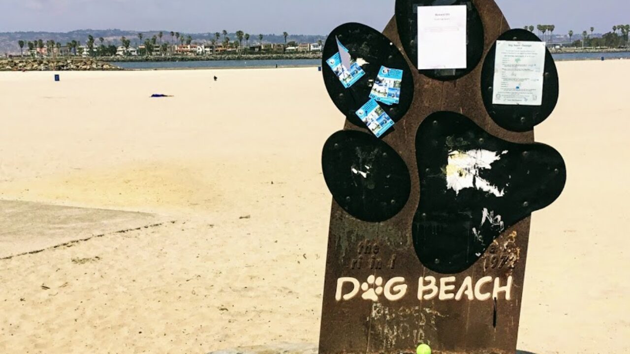 are dogs allowed at mission beach san diego