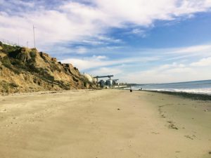 Dogpatch Beach Dog Friendly Beaches In San Diego