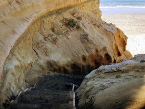 End Beach Trail Torrey Pines State Beach