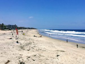 Imperial Beach Dog Friendly Beaches in San Diego