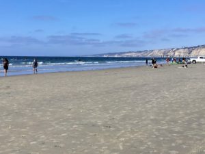 La Jolla Shores Beach sandy beach