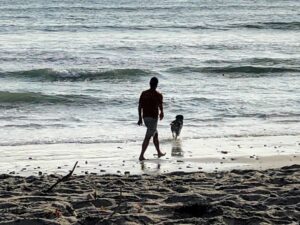 Man dog beach san onofre state beach