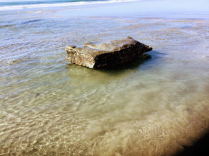 Rock Shallow Water Torrey Pines State Beach