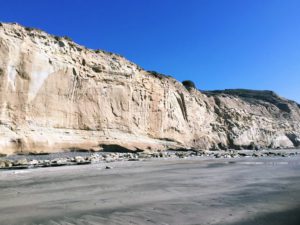 Sandstone Bluff torrey pines state beach