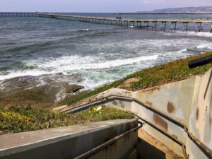 Santa Cruz Ave Beach San Diego Tide Pools