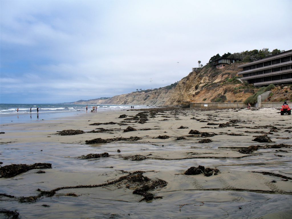san diego best tidal pools