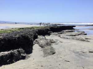 Seaside State Beach Tide Pools