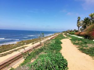 South Beach Del Mar Dog Friendly Beaches in San Diego