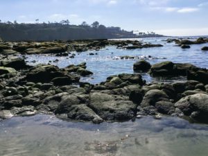 South La Jolla Shores San Diego Tide Pools