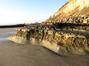 Swamis Reef on Beach San Diego Tide Pools