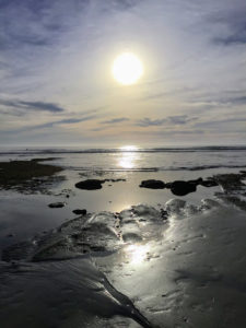 Swamis Tide Pools 2 San Diego Tide Pools