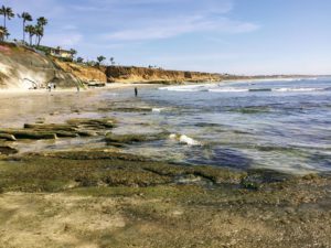 Terramar Beach San Diego Tide Pools