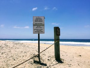 Tijuana Slough National Wildlife Refuge Dog Friendly Beach
