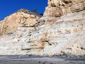 Torrey Pines Sandstone Bluffs beach view