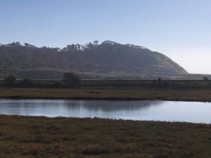 Torrey Pines State Natural Reserve