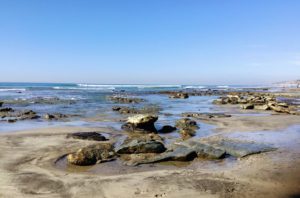 Torrey Pines Tidepools close up