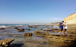 Torrey Pines Tidepools north view lowtide day