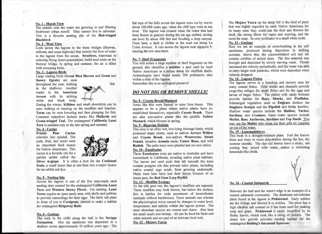 Walking the Batiquitos Lagoon Trail San Diego Beach Secrets