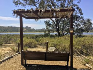 Bird Nesting Site bird watching bench