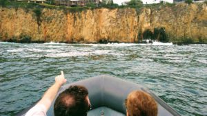 Crystal Cove Whale watching in Southern California