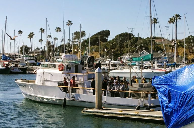 List of All San Diego Sportfishing Party Boats San Diego Beach Secrets