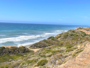 San Onofre Bluff Campground san diego beach camping