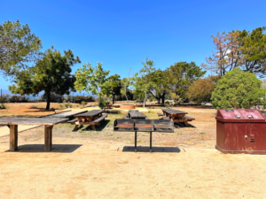 Trail Four Picnic Area San Onofre Bluffs Campground