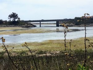 West View Bridges Batiquitos Lagoon Trail