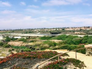 Back of Batiquitos Lagoon South Ponto Beach